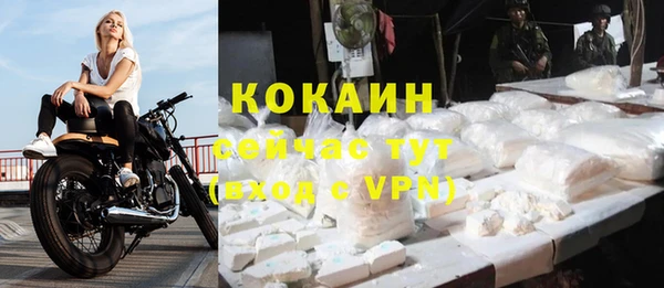 ешки Анжеро-Судженск