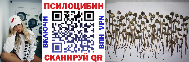 Галлюциногенные грибы GOLDEN TEACHER  Благодарный 
